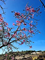 Etna Panoramic Villa With Swimming Pool