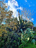 Etna Panoramic Villa With Swimming Pool