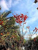 Etna Panoramic Villa With Swimming Pool