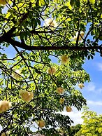 Etna Panoramic Villa With Swimming Pool