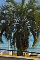 A Stone's Throw From the sea