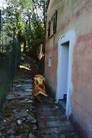 A Stone's Throw From the sea