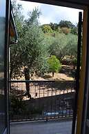 A Stone's Throw From the sea