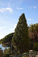 A Stone's Throw From the sea