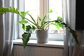 Up too 8- 10 Persons Stay in Antwerp