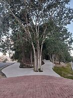 Devoted Hoestel in Cancun With Equipped Kitchen, Pool, Close to Beache