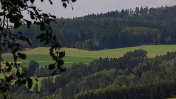 Hotel Gasthof Zum weissen Lamm