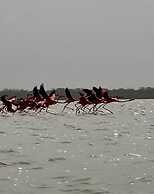 RCH Luxury Hotel & Pool