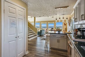 4513bpelicansinh - Barefoot Pelican