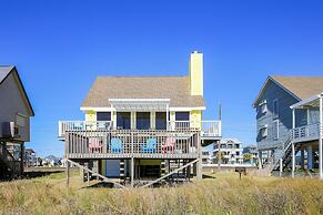 4513bpelicansinh - Barefoot Pelican