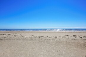 4513bpelicansinh - Barefoot Pelican