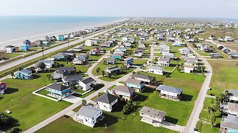 4514bludolphtrnh - Blue Dolphin