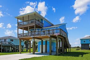 4514bludolphtrnh - Blue Dolphin