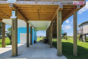 4514bludolphtrnh - Blue Dolphin