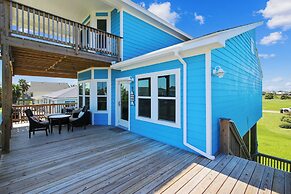 4514bludolphtrnh - Blue Dolphin