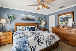 Dawn 236 - Turtle Romance