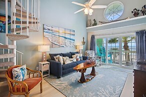 Dawn 236 - Turtle Romance