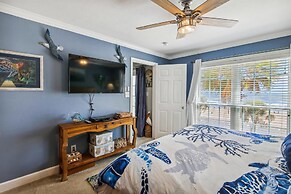 Dawn 236 - Turtle Romance