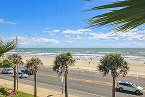 Dawn 236 - Turtle Romance