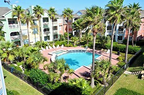 4511dawn614tdnc - Dawn 614-turtle Reef