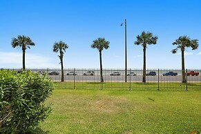 4511dawn614tdnc - Dawn 614-turtle Reef