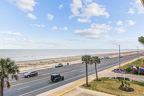 Dawn 1037 - The Regal Seagull