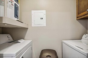 Dawn 1037 - The Regal Seagull