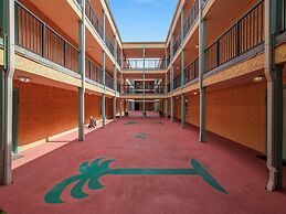 Maravilla 233 - Indigo Flamingo