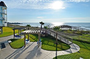 Seascape 1110 - Parrot Paradise