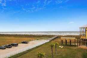 4514skinbonesgbnh - Skin and Bones