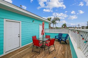 The Turquoise Turtle