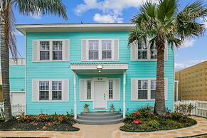 The Turquoise Turtle