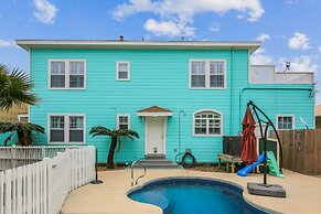 The Turquoise Turtle