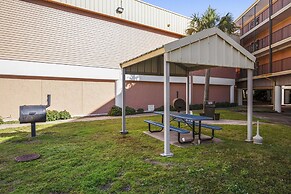 Victorian 8302-seas the Day