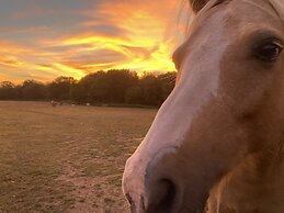 Hillside Farm Barn Apartments