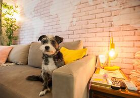 LOCAR-IN GRAMADO- Onze-1