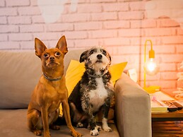 LOCAR-IN GRAMADO- Onze-1