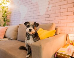 LOCAR-IN GRAMADO- Onze-1