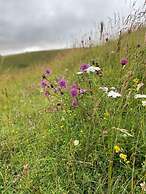 Stylish Getaway in the Heart of the Pewsey Vale