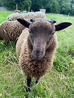 Stylish Getaway in the Heart of the Pewsey Vale