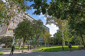 Steps to Park Floor to Ceiling Window