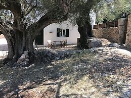 Villa Fioro