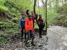 Wood Cabin & 4 Large Bell Tents - Hapus Hideaway