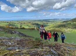 Wood Cabin & 4 Large Bell Tents - Hapus Hideaway