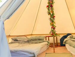 Wood Cabin & 4 Large Bell Tents - Hapus Hideaway