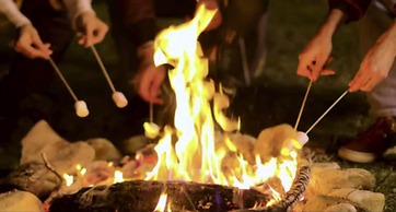 Wood Cabin & 4 Large Bell Tents - Hapus Hideaway