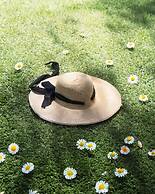 Cabañas La Diligencia