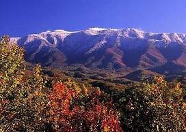 Cabin Fever Lodge #750