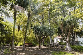 In Laurissilva Forest, Casa do Lanço -carvalho