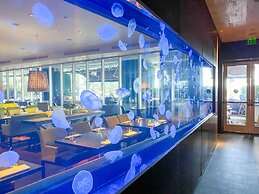 W Residences Luxury Suites Across from Fort Lauderdale Beach